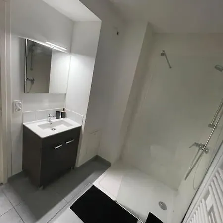 O Calme Cosy - Jardins Et - Experience Unique - Wifi Gratuit - Parking Gratuite Apartment Grenoble